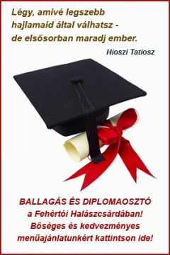 ballagas2018